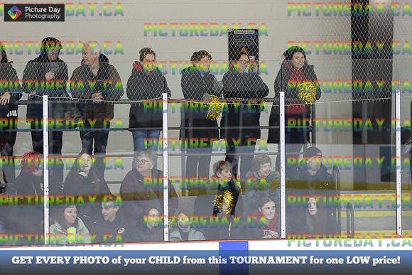 2026-02-08-TW017731