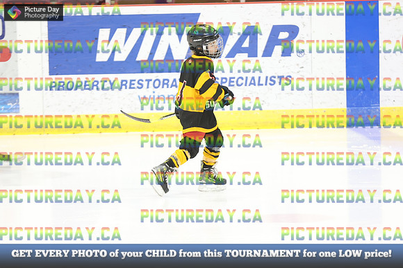 2026-02-13-AS020767