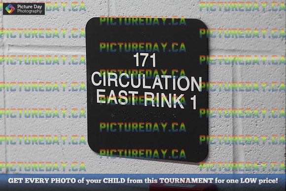 2026-02-13-TW018981