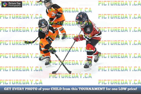 2026-02-13-AS021575