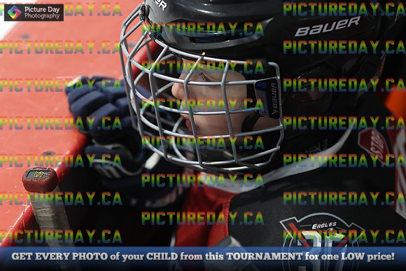 2026-02-13-AS021579
