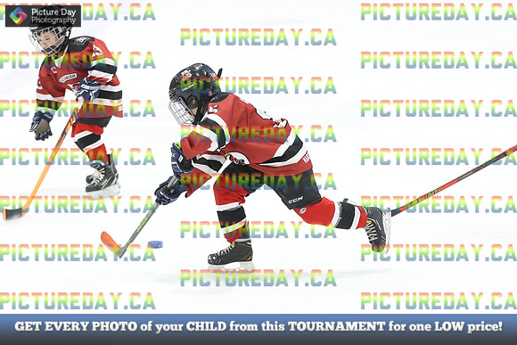 2026-02-13-AS021598