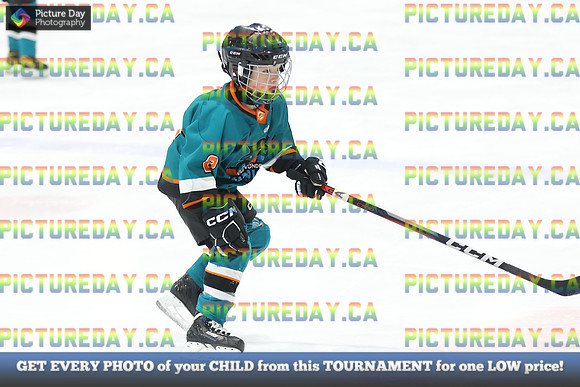 2026-02-13-AS023699