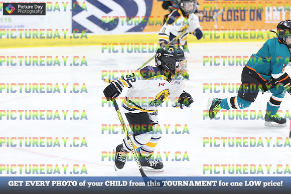2026-02-13-AS023738