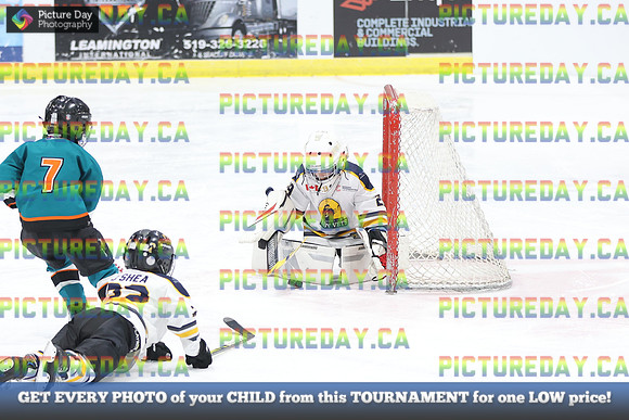 2026-02-13-AS023747