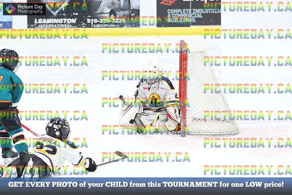 2026-02-13-AS023746