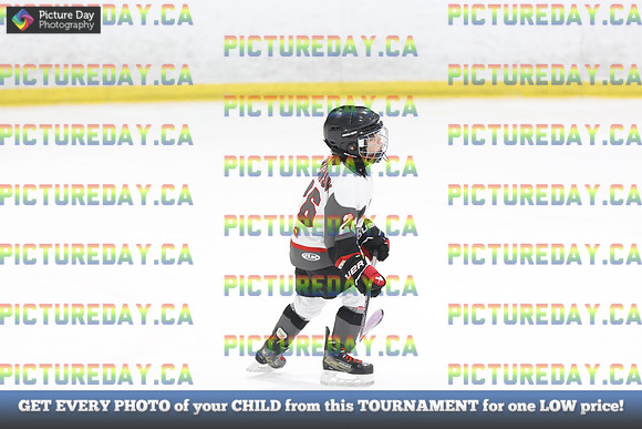 2026-02-13-AS026141
