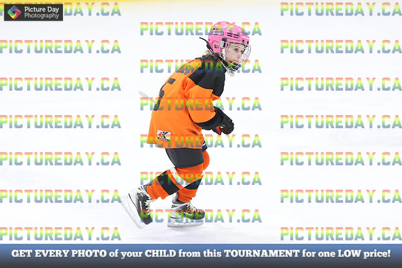 2026-02-14-AS027248