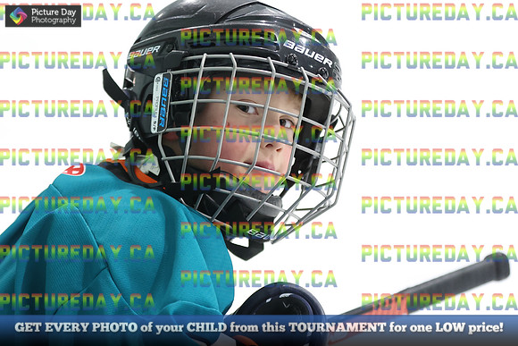 2026-02-14-AS027238