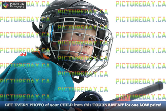 2026-02-14-AS027237
