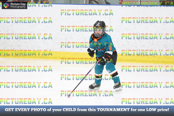 2026-02-14-AS027240