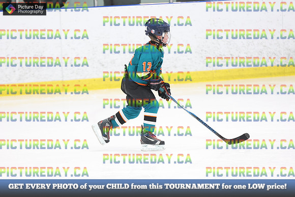 2026-02-14-AS027254