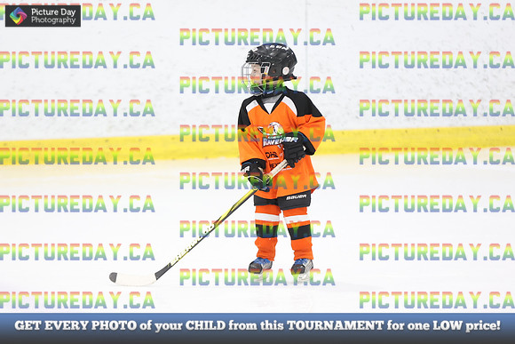 2026-02-14-AS027271