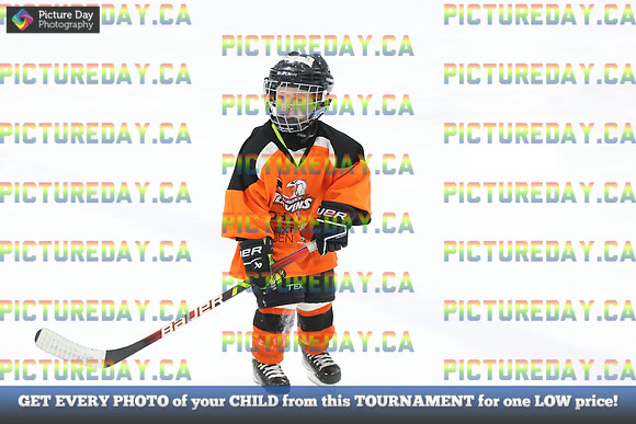 2026-02-14-AS027275