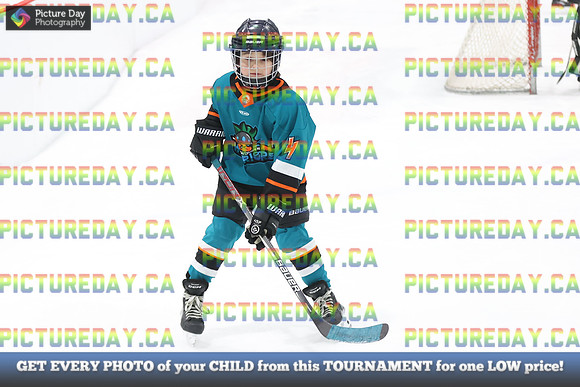 2026-02-14-AS027276