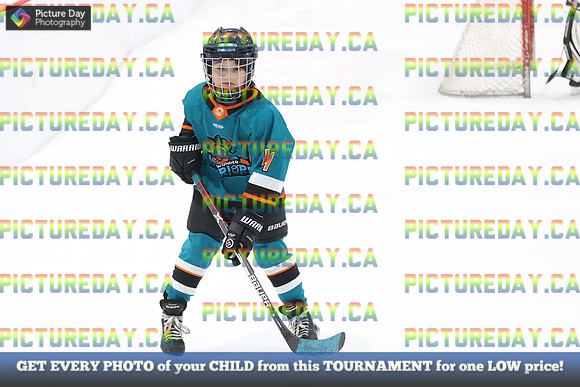 2026-02-14-AS027277