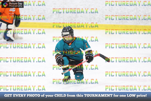 2026-02-14-AS027281