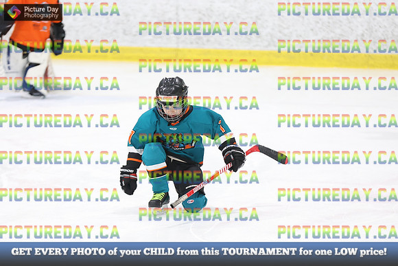 2026-02-14-AS027282