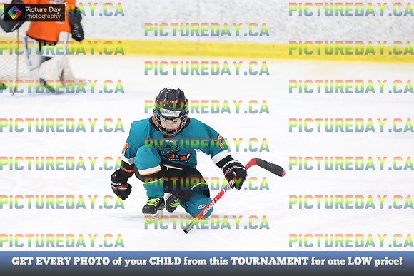 2026-02-14-AS027283