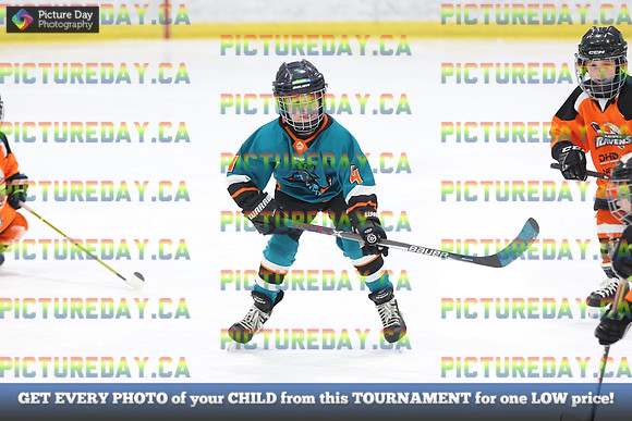 2026-02-14-AS027297