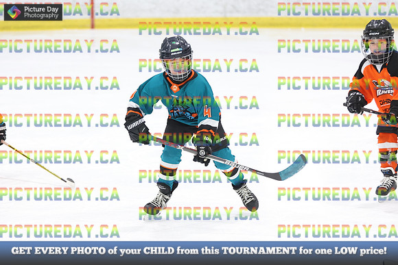 2026-02-14-AS027296