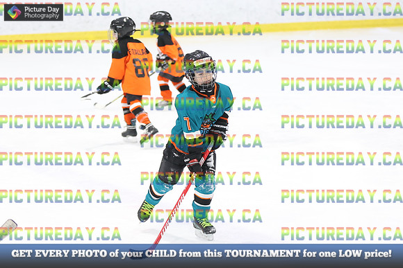 2026-02-14-AS027298