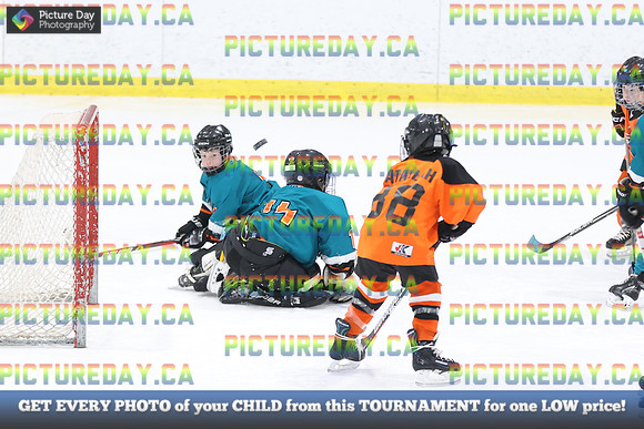 2026-02-14-AS027290