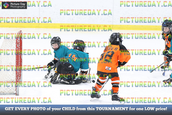 2026-02-14-AS027289