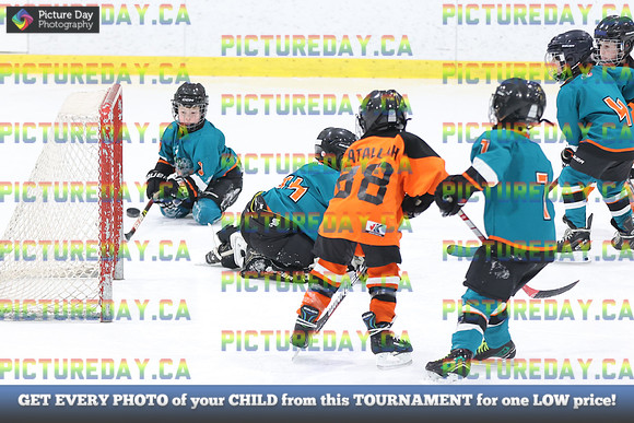 2026-02-14-AS027291