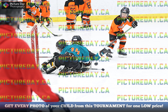 2026-02-14-AS027302