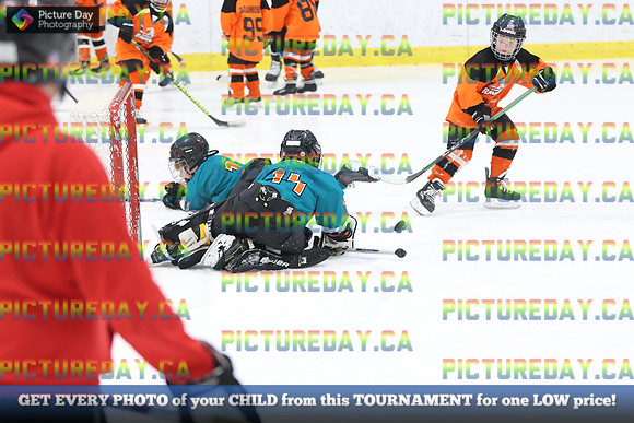 2026-02-14-AS027303