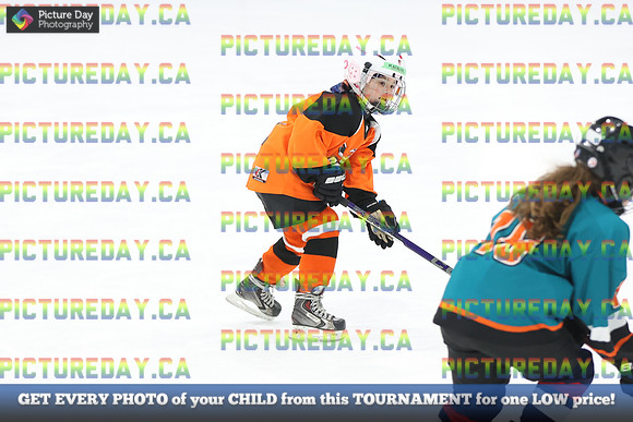 2026-02-14-AS027306