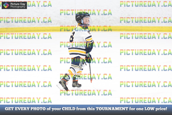 2026-02-14-AS028011