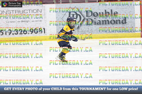 2026-02-14-AS028341