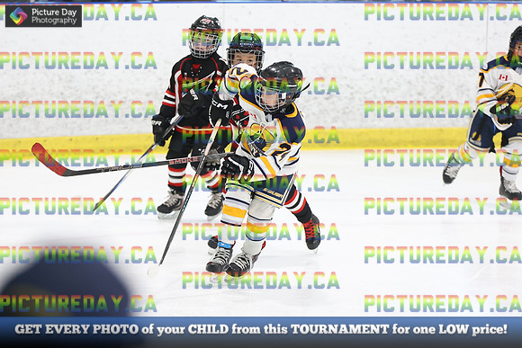 2026-02-14-AS028751