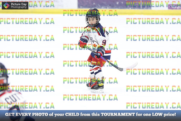 2026-02-14-AS029141