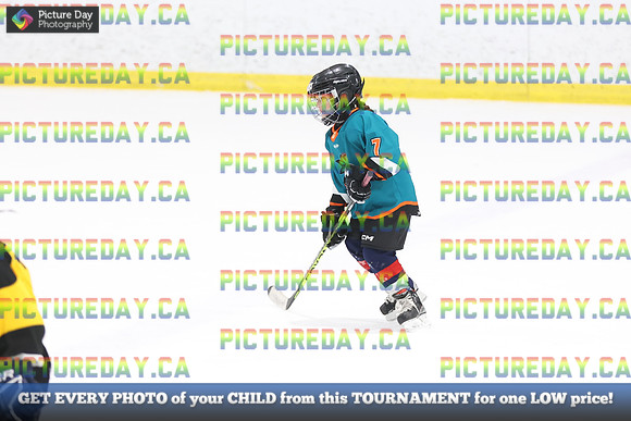 2026-02-14-AS029553