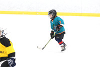 2026-02-14-AS029552