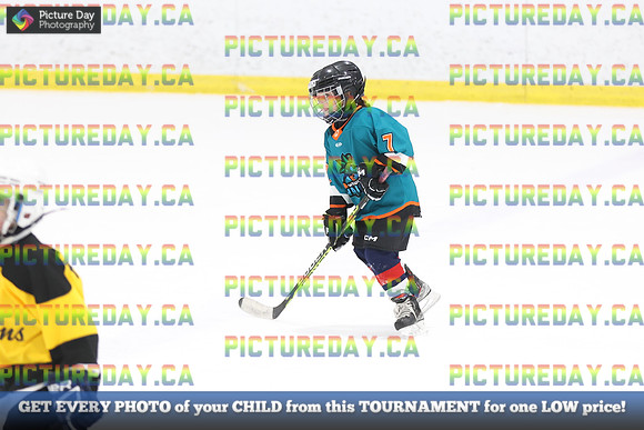 2026-02-14-AS029552