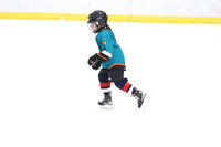 2026-02-14-AS029556