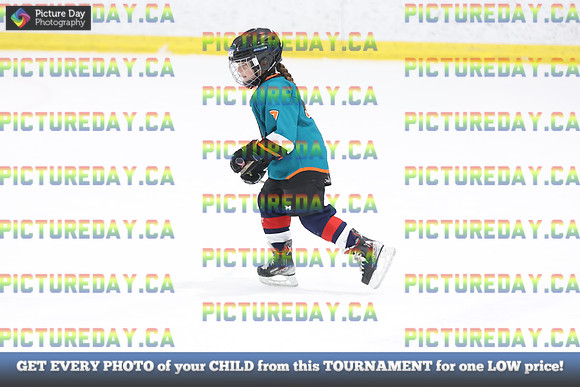 2026-02-14-AS029556