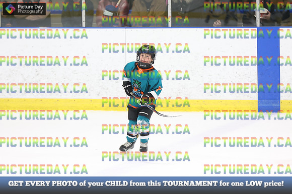 2026-02-14-AS029558