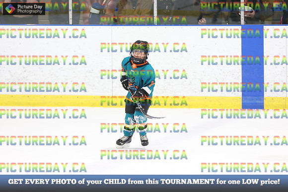 2026-02-14-AS029557