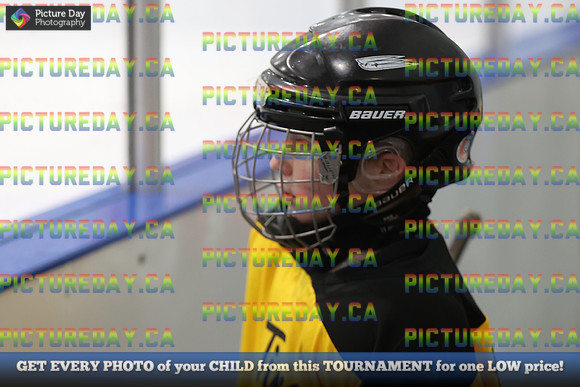 2026-02-14-AS029547