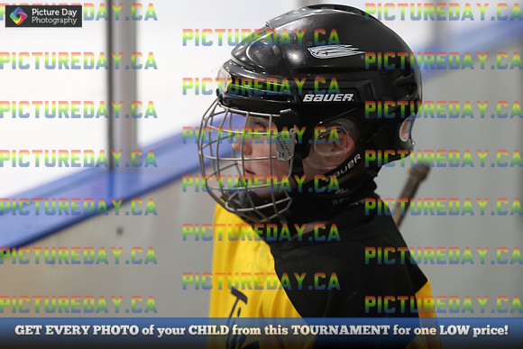 2026-02-14-AS029546