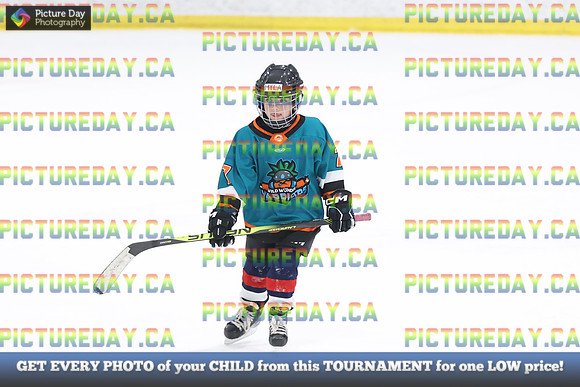 2026-02-14-AS029559