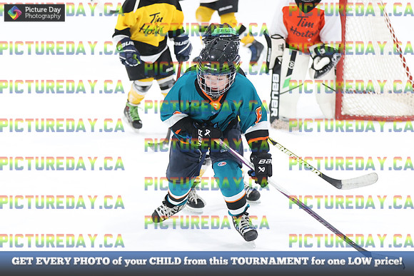 2026-02-14-AS029549