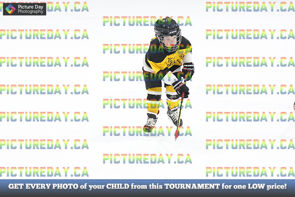 2026-02-14-AS029562
