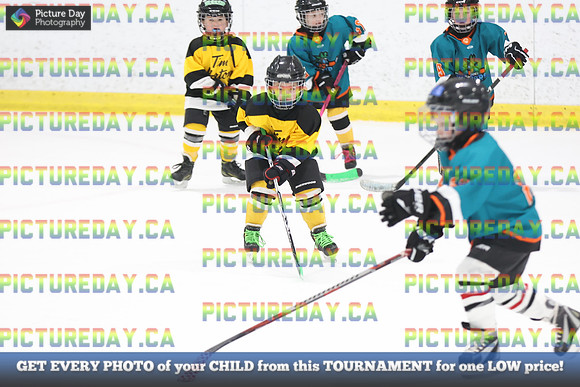 2026-02-14-AS029561