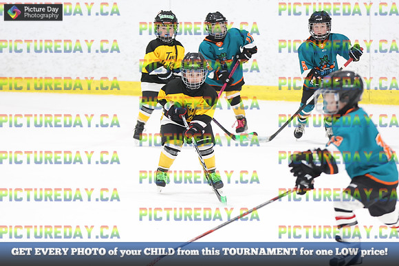 2026-02-14-AS029560
